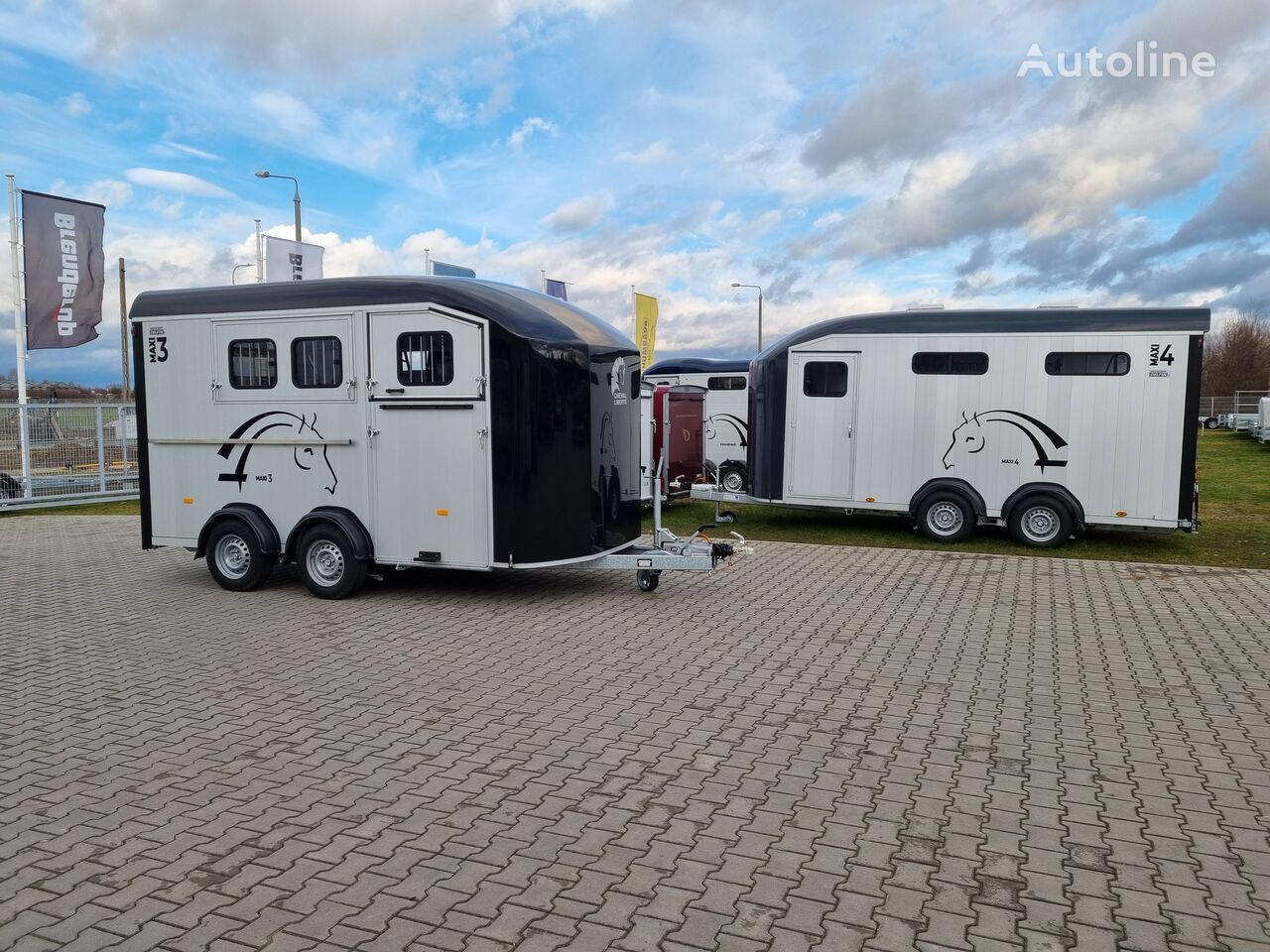 신규 말 트레일러 Cheval Liberté Maxi 3 Minimax trailer for 3 horses GVW 3500kg tack room saddle : 사진 18