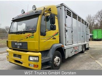 가축 트럭 MAN 15.220 Menke Einstock : 사진 1