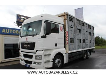 가축 트럭 MAN MAN TGX 26.400 6x2 MANUÁL RETARDÉR EURO V : 사진 1