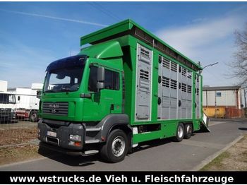 가축 트럭 MAN TGA 26.350 Finkl 3 Stock Lift Hubdach : 사진 1