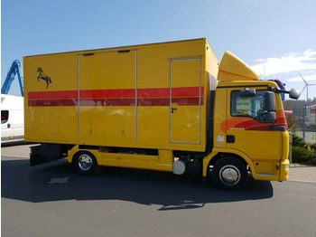 말 수송 트럭 MAN TGL 10.180 Euro 4  Pferdetransporter Horse : 사진 3