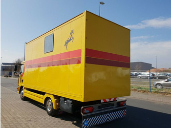 말 수송 트럭 MAN TGL 10.180 Euro 4  Pferdetransporter Horse : 사진 5