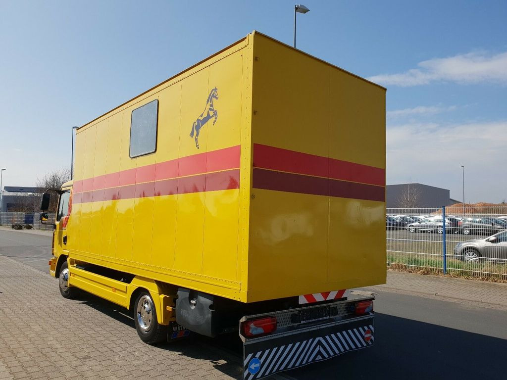 말 수송 트럭 MAN TGL 10.180 Euro 4  Pferdetransporter Horse : 사진 5