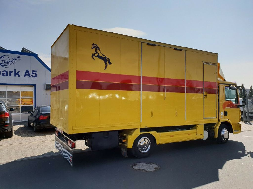 말 수송 트럭 MAN TGL 10.180 Euro 4  Pferdetransporter Horse : 사진 4