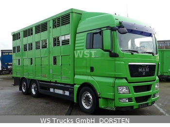 가축 트럭 MAN TGX 26.480