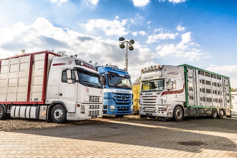 WS Trucks GmbH - 세미 트레일러 - 렌트 undefined : 사진 1