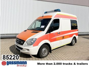 패널 밴 MERCEDES-BENZ Sprinter 313