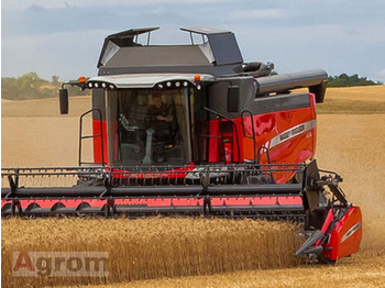 목초수확기 MASSEY FERGUSON