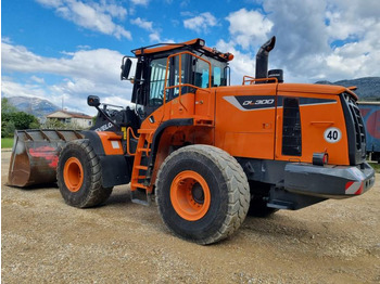 리스 Doosan DL300 Doosan DL300 : 사진 1