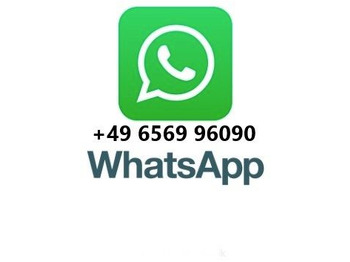 캡 새시 트럭 Mercedes-Benz Actros 3340 6x6 Dautel Wechselsystem + Kupplung : 사진 2 캡 새시 트럭 Mercedes-Benz Actros 3340 6x6 Dautel Wechselsystem + Kupplung : 사진 2