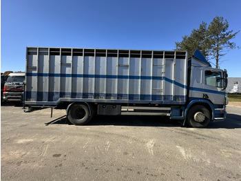 박스 트럭 Scania P310 4x2 BOX 7m - MANUAL - AIR SUSPENSION - A/C - BELGIAN TRUCK : 사진 3