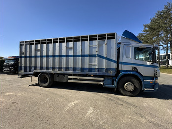 박스 트럭 Scania P310 4x2 BOX 7m - MANUAL - AIR SUSPENSION - A/C - BELGIAN TRUCK : 사진 2