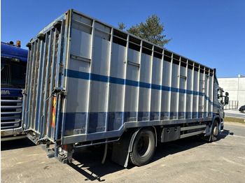 박스 트럭 Scania P310 4x2 BOX 7m - MANUAL - AIR SUSPENSION - A/C - BELGIAN TRUCK : 사진 4