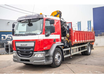 덤프트럭, 크레인 트럭 DAF LF 250 - EFFER 145 : 사진 5 덤프트럭, 크레인 트럭 DAF LF 250 - EFFER 145 : 사진 5