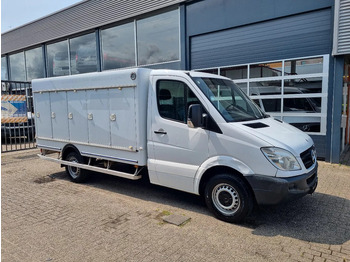 냉동 밴 MERCEDES-BENZ Sprinter 313