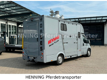리스  Citroën Jumper 5 - Sitzer Citroën Jumper 5 - Sitzer : 사진 2