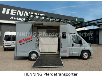리스  Citroën Jumper 5 - Sitzer Citroën Jumper 5 - Sitzer : 사진 3
