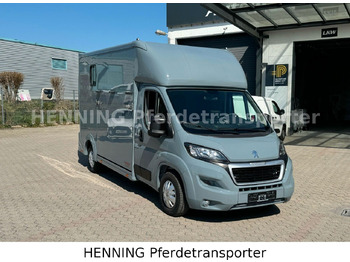말 수송 트럭 Peugeot Boxer 3-Sitzer *NEUWAGEN* 1000 KG NUTZLAST : 사진 2