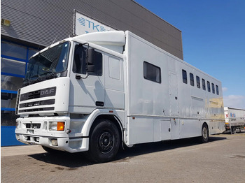 말 수송 트럭 DAF 95 350