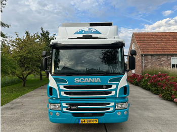 냉동탑차 Scania P280 / NL TRUCK / FRIGOBLOCK FK 13(2019) / 2000kg LIFT / TOPCONDITION!! : 사진 3