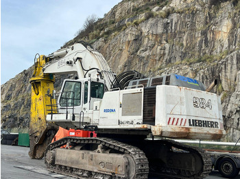 크롤러 굴삭기 LIEBHERR