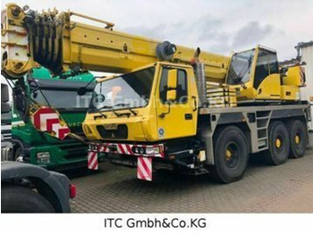 전천후 지형 크레인 GROVE