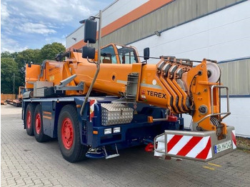 전천후 지형 크레인 DEMAG