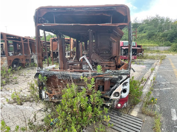 시내버스 IVECO