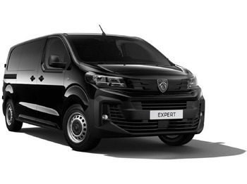 패널 밴 PEUGEOT Expert