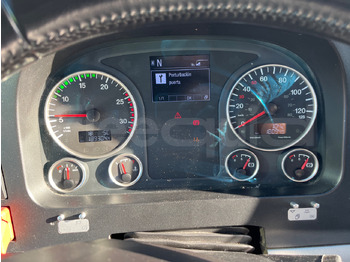 리스  Man Lion's Coach Man Lion's Coach : 사진 3