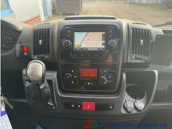 소형 버스, 승합차 Fiat Bürgerbus + Rollstuhlrampe- Überlandbus- 9 Sitze : 사진 5