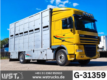 말 수송 트럭 DAF XF