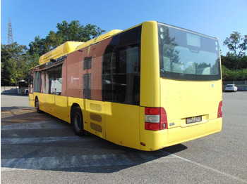 리스  N.2 MAN A21 CNG – Anno 2010 N.2 MAN A21 CNG – Anno 2010 : 사진 5