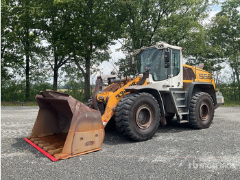 휠 로더 2019 Liebherr L556 XPOWER Wheel Loader : 사진 2