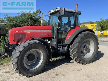 장궤형 트랙터 MASSEY FERGUSON 8250