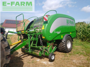 정사각 베일러 McHALE