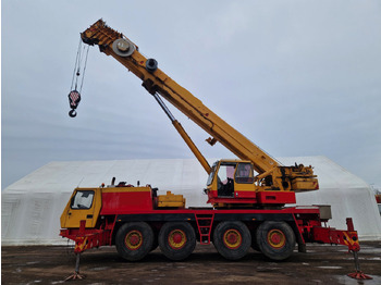 전천후 지형 크레인 GROVE