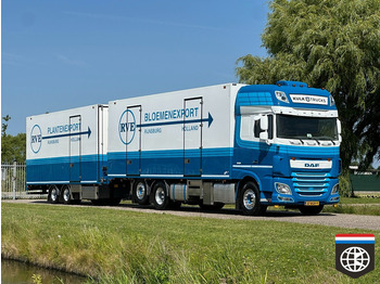 냉동탑차 DAF XF 460