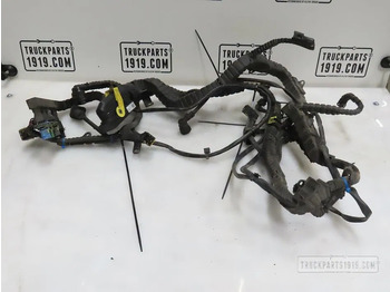 케이블/ 와이어 하니스 DAF