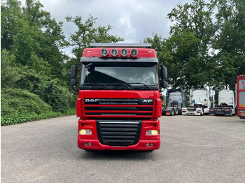 가축 트럭 DAF XF 106.460 - Finkl Animal transporter : 사진 5