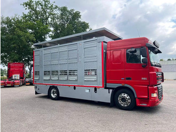 가축 트럭 DAF XF 106.460 - Finkl Animal transporter : 사진 2