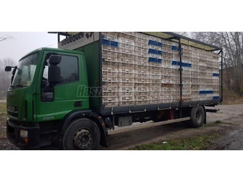 가축 트럭 IVECO EuroCargo 180E