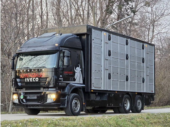 가축 트럭 IVECO Stralis