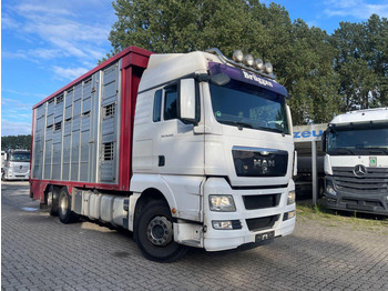 가축 트럭 MAN TGX 26.400 6x2-2 LL 3 Stück Finkl Hubdach : 사진 5 가축 트럭 MAN TGX 26.400 6x2-2 LL 3 Stück Finkl Hubdach : 사진 5