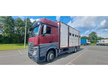 가축 트럭 MERCEDES-BENZ Actros 1851