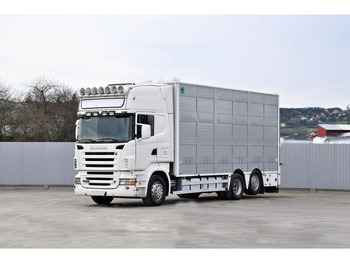 가축 트럭 SCANIA R 500
