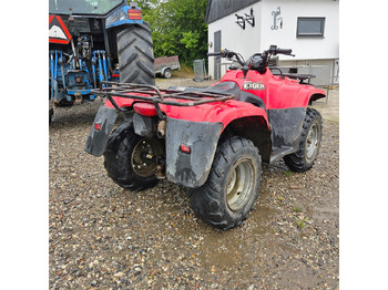 사이드 바이 사이드/ ATV Suzuki Eiger 400 : 사진 5