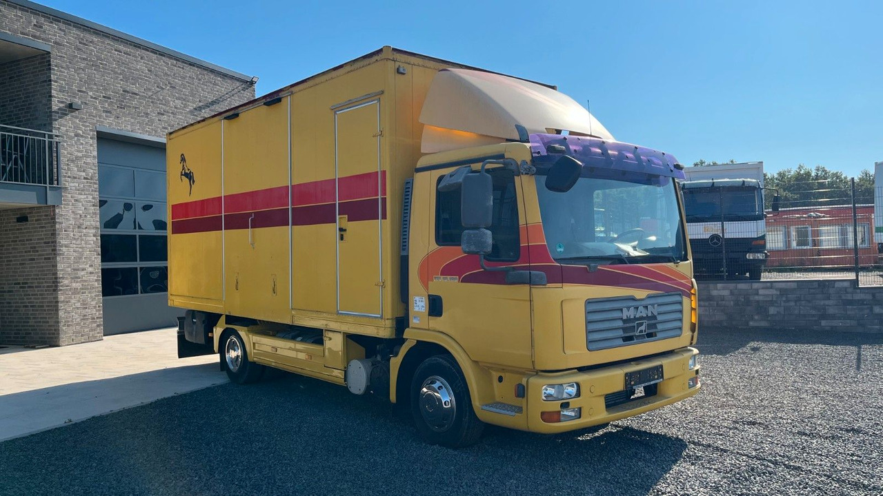 MAN TGL 10.180 Euro 4 Pferdetransporter Horse MAN TGL 10.180 Euro 4 Pferdetransporter Horse - 말 수송 트럭 : 사진 2 MAN TGL 10.180 Euro 4 Pferdetransporter Horse MAN TGL 10.180 Euro 4 Pferdetransporter Horse - 말 수송 트럭 : 사진 2