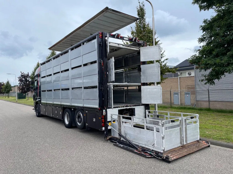 DAF XF 460 2017 berdex 3 lagen varkens - 가축 트럭 : 사진 4 DAF XF 460 2017 berdex 3 lagen varkens - 가축 트럭 : 사진 4