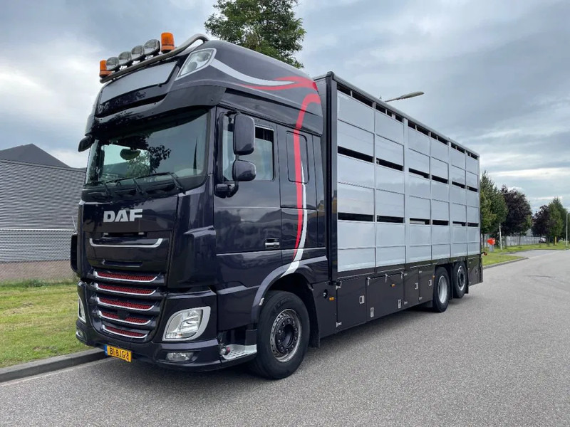 DAF XF 460 2017 berdex 3 lagen varkens - 가축 트럭 : 사진 1 DAF XF 460 2017 berdex 3 lagen varkens - 가축 트럭 : 사진 1